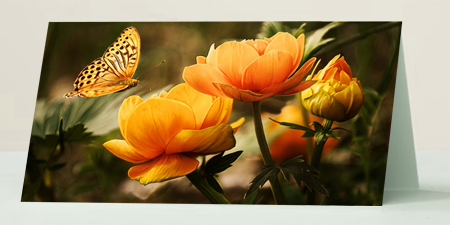 Foto: Abbildung zeigt das Produkt Grußkarte "Blumen"